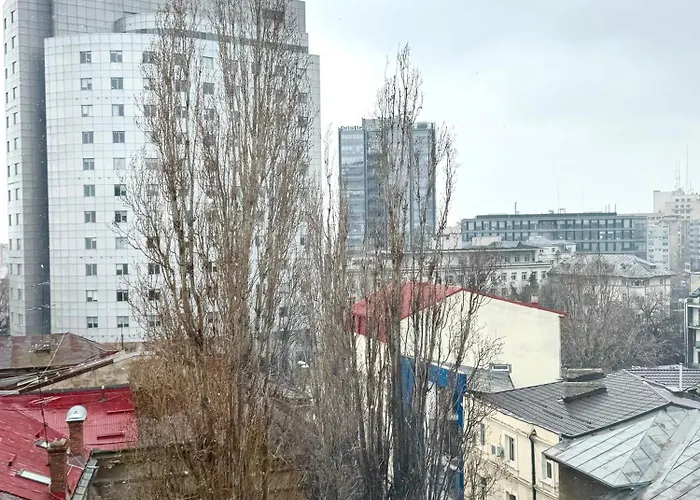 Moon View - Apartment - Sanador Victoriei Bucureşti